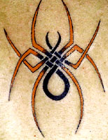 celtspider.jpg (20066 bytes)