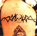 aabandskull.jpg (17055 bytes)