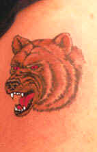 aabear.jpg (12781 bytes)