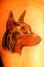 aadoberman.jpg (15348 bytes)