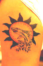 aasharksun.jpg (17312 bytes)