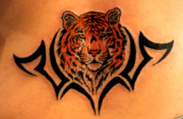 tigera.jpg (19151 bytes)